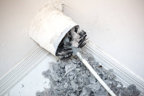 Best Professional Duct Cleaning Services  in San Luis, AZ