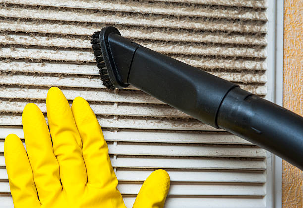 Best Commercial Air Duct Cleaning  in San Luis, AZ